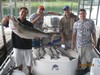 (06/06/2014) - Nice Striped Bass